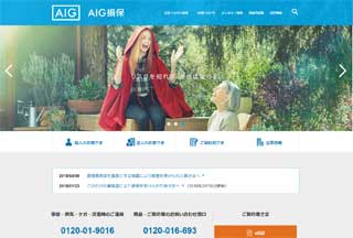 AIG損保（サイトイメージ）